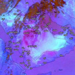 شاهد.. الشيخ “الشريم” يلقي شعراً عاصفاً أثناء خطبة الجمعة اليوم