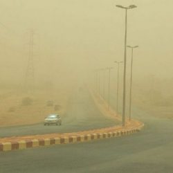 دوري أبطال آسيا : غامبا الياباني يقترب من دور الثمانية بفوزه على سول الكوري الجنوبي بثلاثية