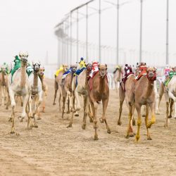 أكاديمية الحوار للتدريب تستهدف القرى والمحافظات بمشاريع وبرامج نوعية