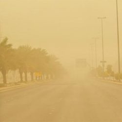 17000 زائر لبرامج جمعية البر بالشرقية في الجبيل