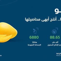 تعليق الدراسة اليوم الأحد في مدارس جدة ورابغ وخليص