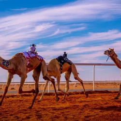 صندوق تنمية الموارد البشرية شريك استراتيجي للمؤتمر الدولي لسوق العمل