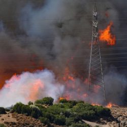 سفير المملكة لدى مصر يلتقي وزير الأوقاف المصري