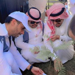 تأهل الهلال والنصر والخليج والاتحاد لنصف نهائي الكرة الطائرة