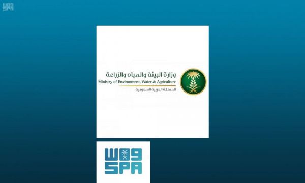 13 مخالفة لشروط المزايين المشاركة بمهرجان الملك عبد العزيز للإبل