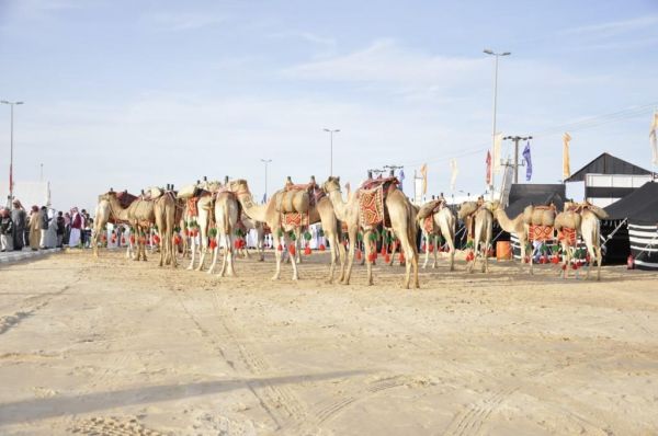 أمين عسير: الأوامر الملكية خطوة مهمة لإعادة هيكلة أجهزة الدولة