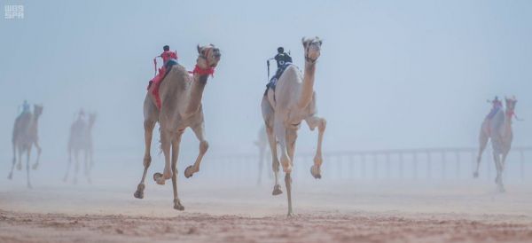 رئيس وأعضاء المجلس البلدي ببريدة يزورون مهرجان الكليجا ببريدة