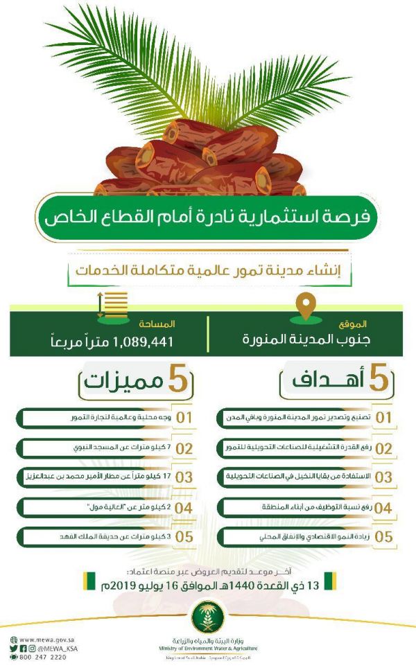 أمين جدة يوجّه بإنشاء مسار حافلات الركاب للمدينة الذكية